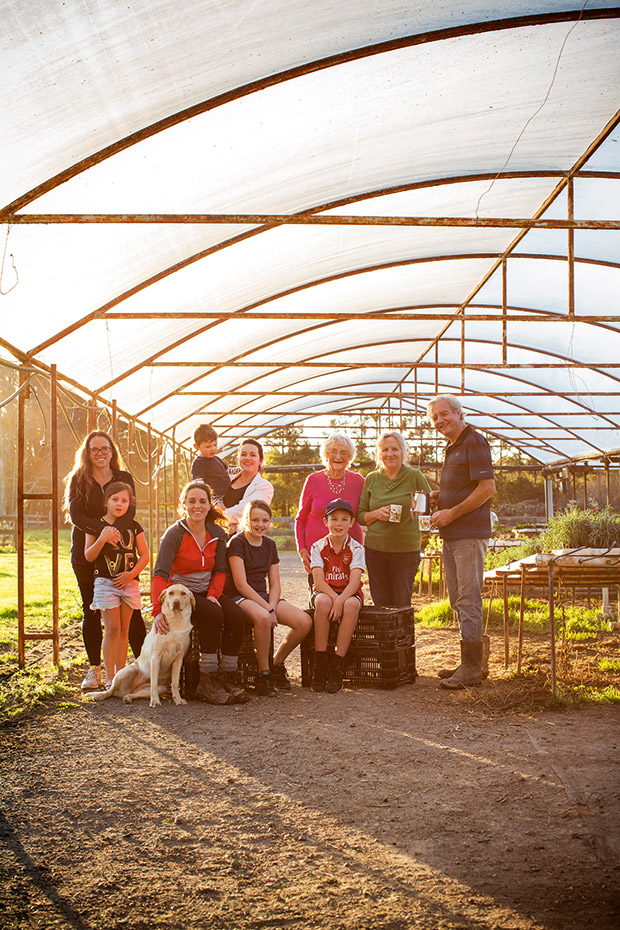 How Clevedon Herbs & Produce’s veggie boxes nourished New Zealand during the lockdown